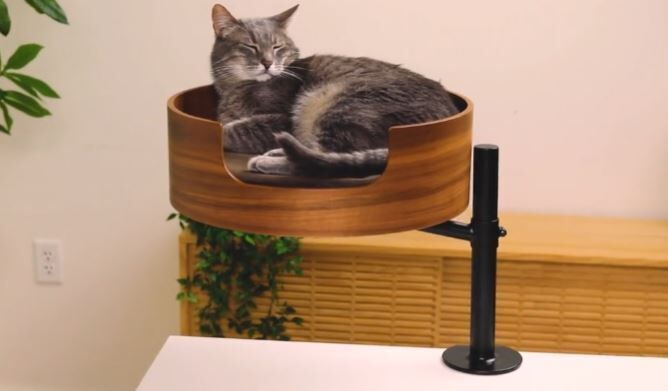 Elevated Workstation Cat Beds