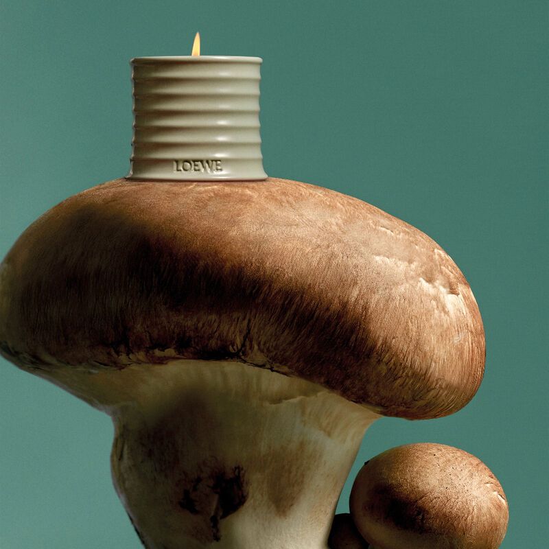 Earthy Mushroom Candles