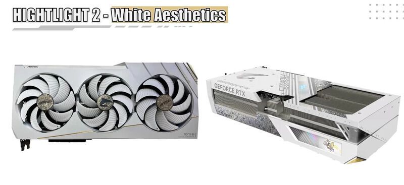 Aesthetic Overclocked Graphics Cards