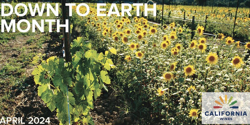 Climate-Conscious Wine Campaigns Main Gallery Image