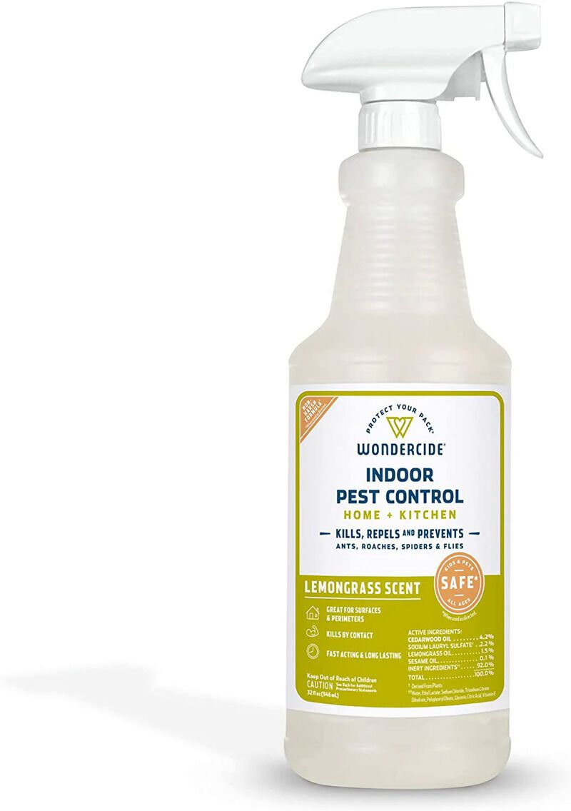 Pet-Friendly Insect Sprays
