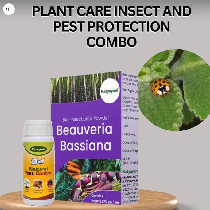Plant-Protecting Pest Solutions