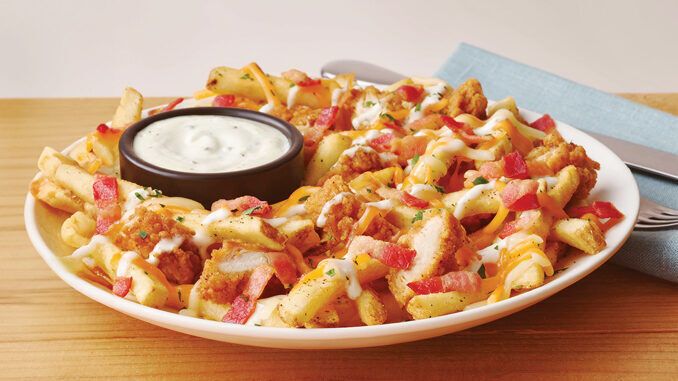 Sharing-Friendly Fries Appetizers