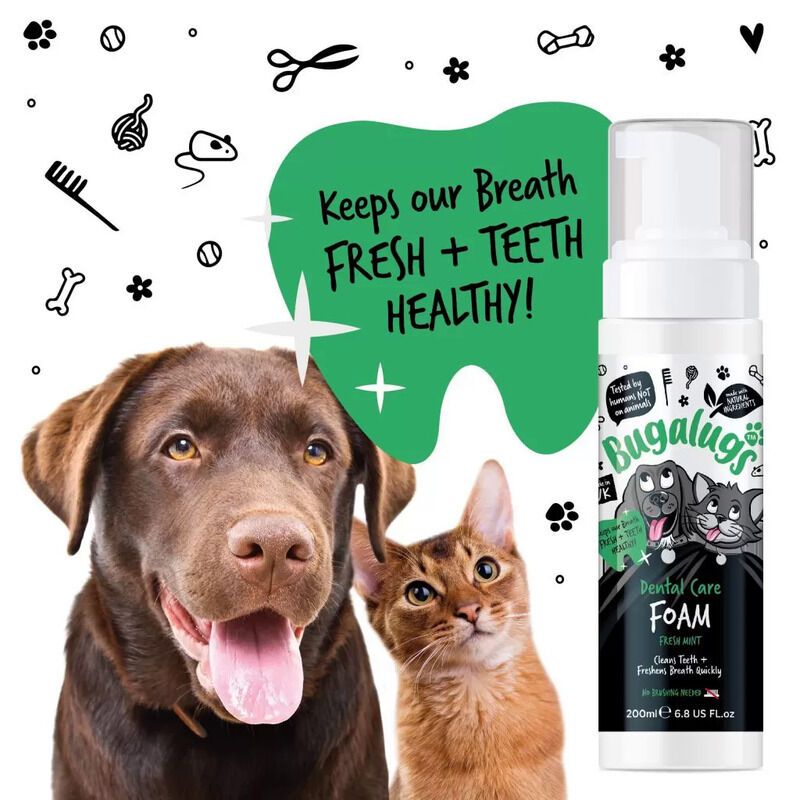 Pet-Friendly Dental Foams