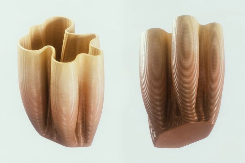 AI-Developed 3D-Printed Vases