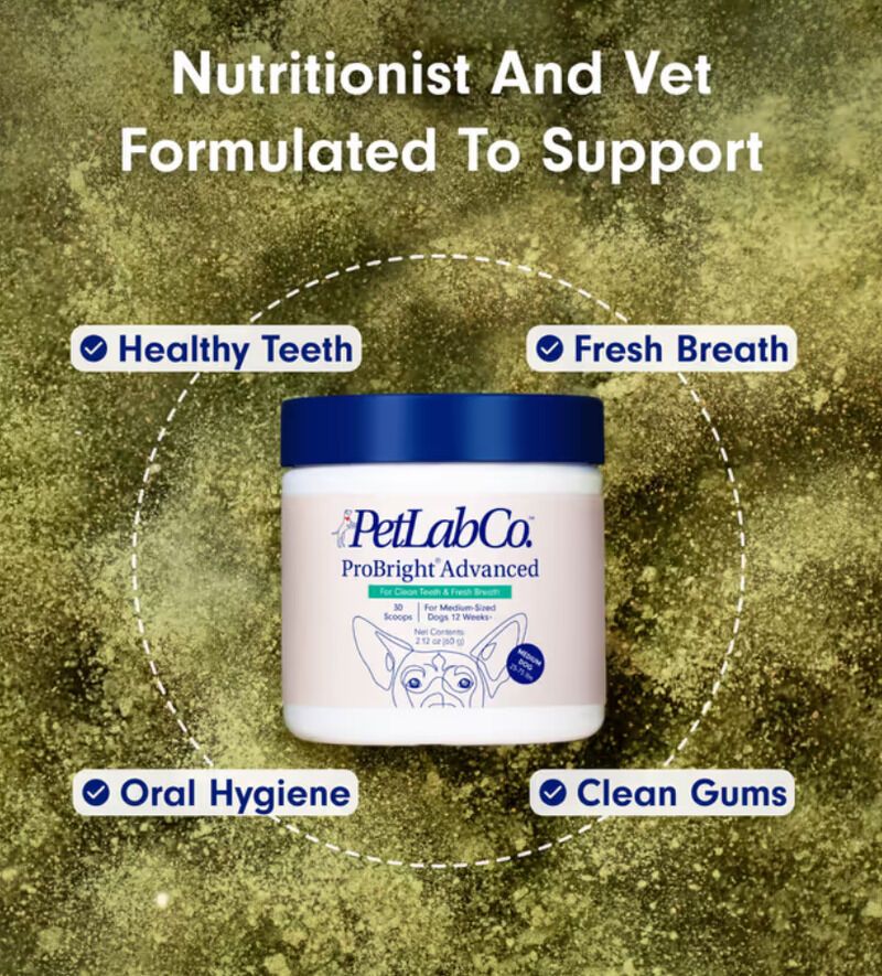 Vet-Formulated Dental Powders