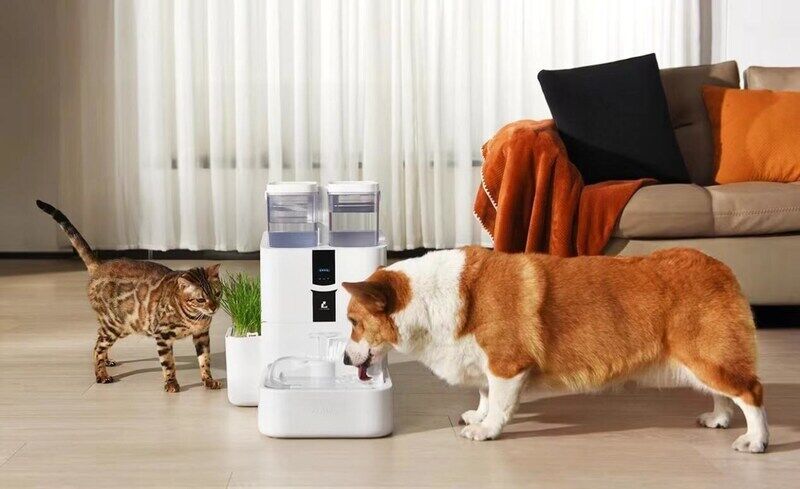 Naturalistic Pet Fountains