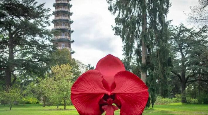 Outdoor Floral Sculpture Installations
