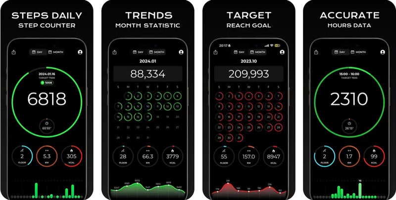 Integrated Daily Step Counters