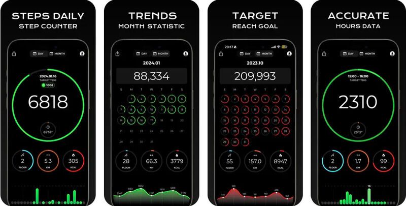 Integrated Daily Step Counters