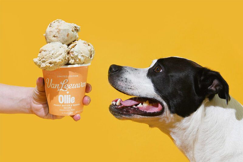 Dog-Friendly Ice Creams