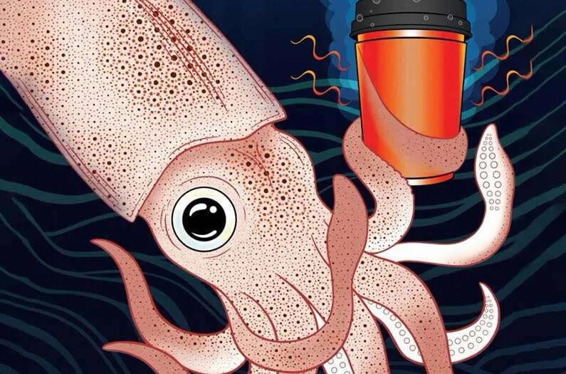 Squid-Inspired Packaging