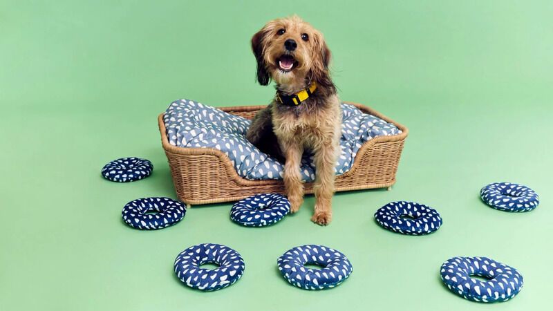 Charitable Pet Product Collections