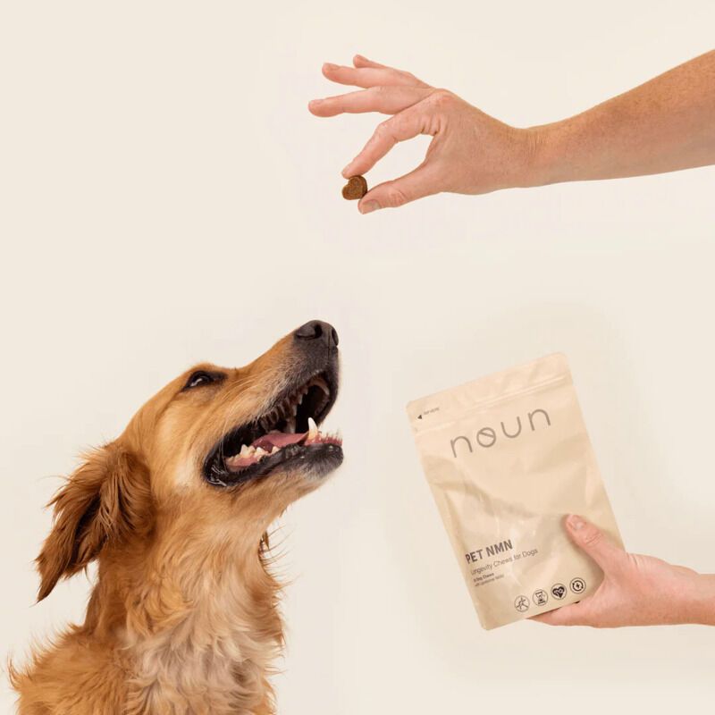 Dog-Friendly Vitality Chews