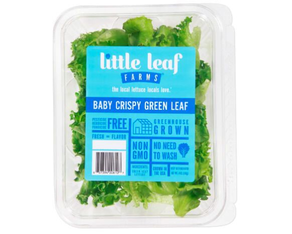 Crispy Pesticide-Free Lettuce