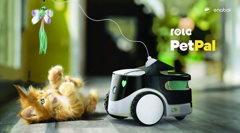 Remote Pet Toys