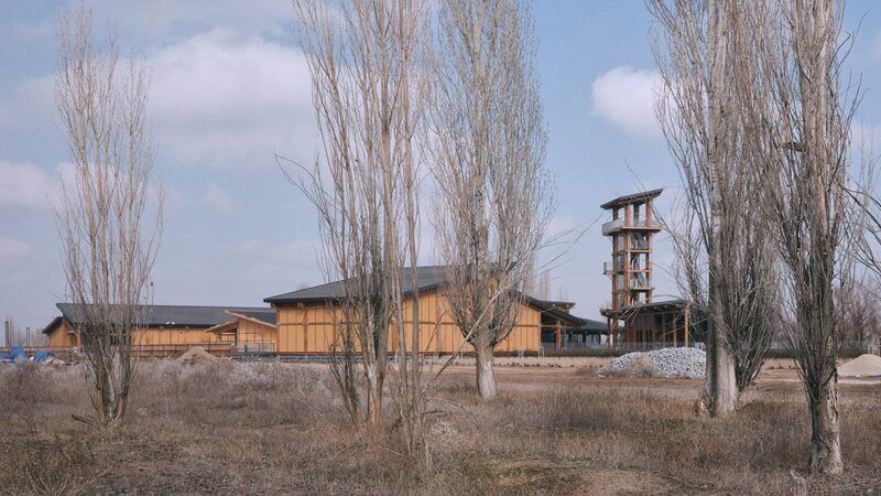 Archaeological Timber Visitor Sites : Çatalhöyük Visitor Center