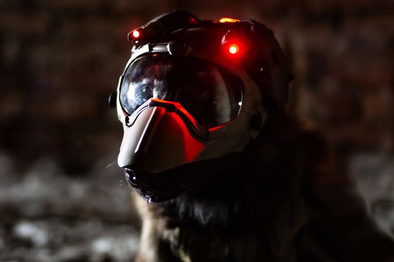 Modular Canine Helmets