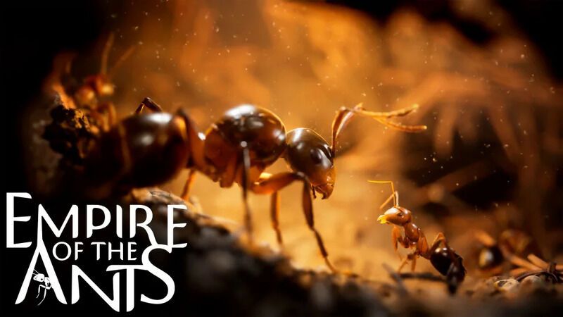 Insect-Inspired Strategy Games