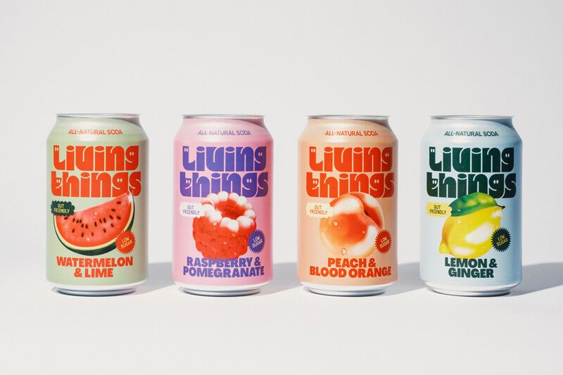 Low-Sugar Natural Sodas