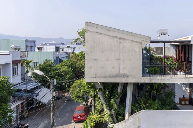 Greenery-Surrounding Lush Homes