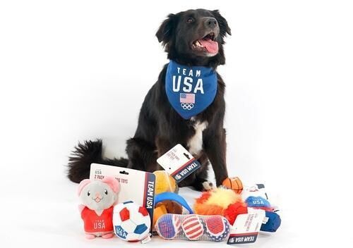 Sports-Themed Pet Products