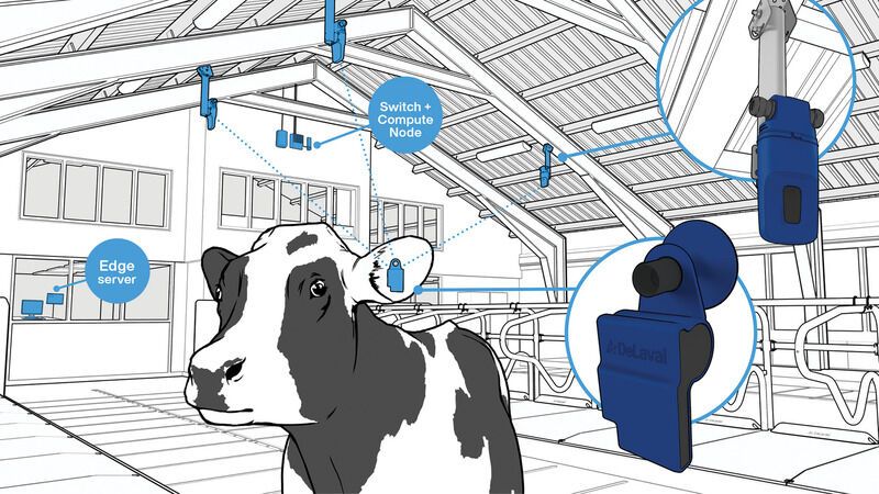AI-Accelerated Dairy Farming