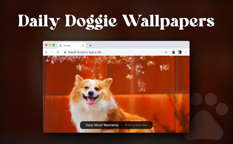 Dog Lover Browser Extensions