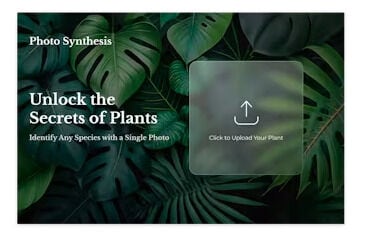 Plant-Identification Apps