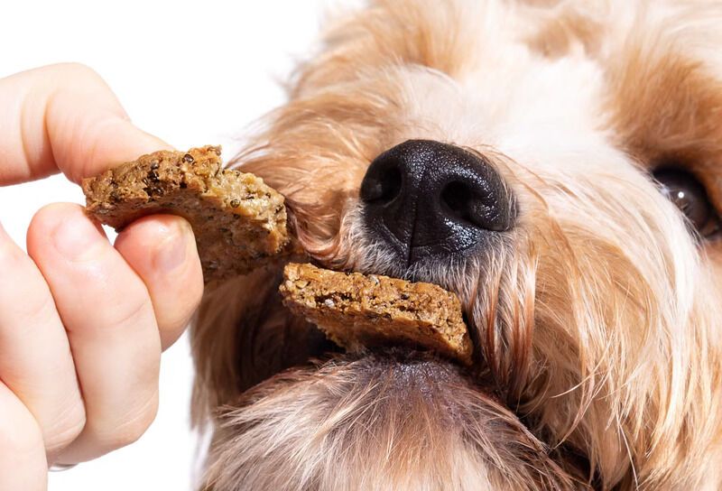 Vet-Formulated Supplement Bars