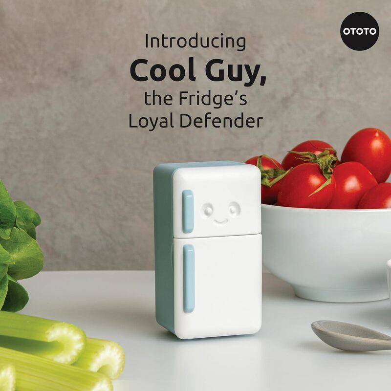 Playful Fridge Deodorizers