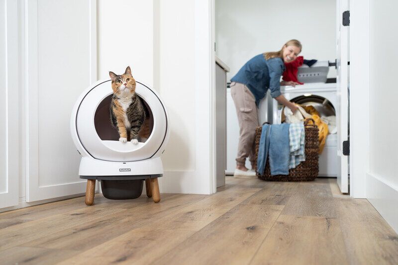 Low-Maintenance Litter Boxes