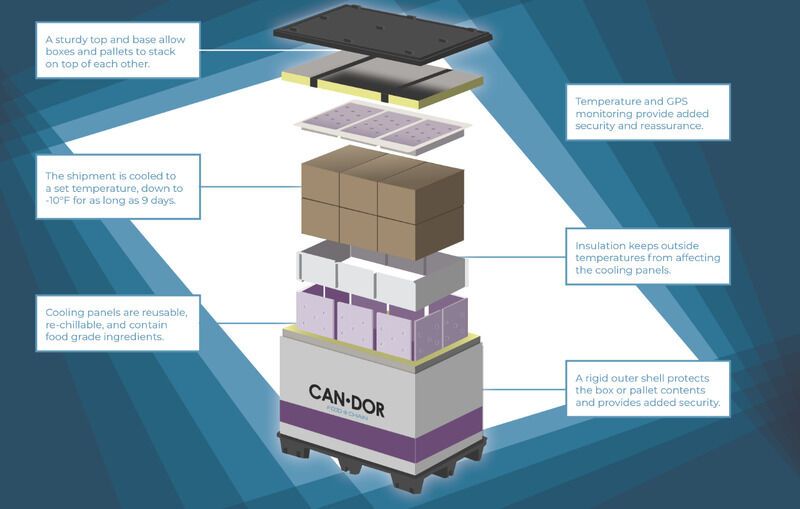 Frozen Food Transportation Solutions