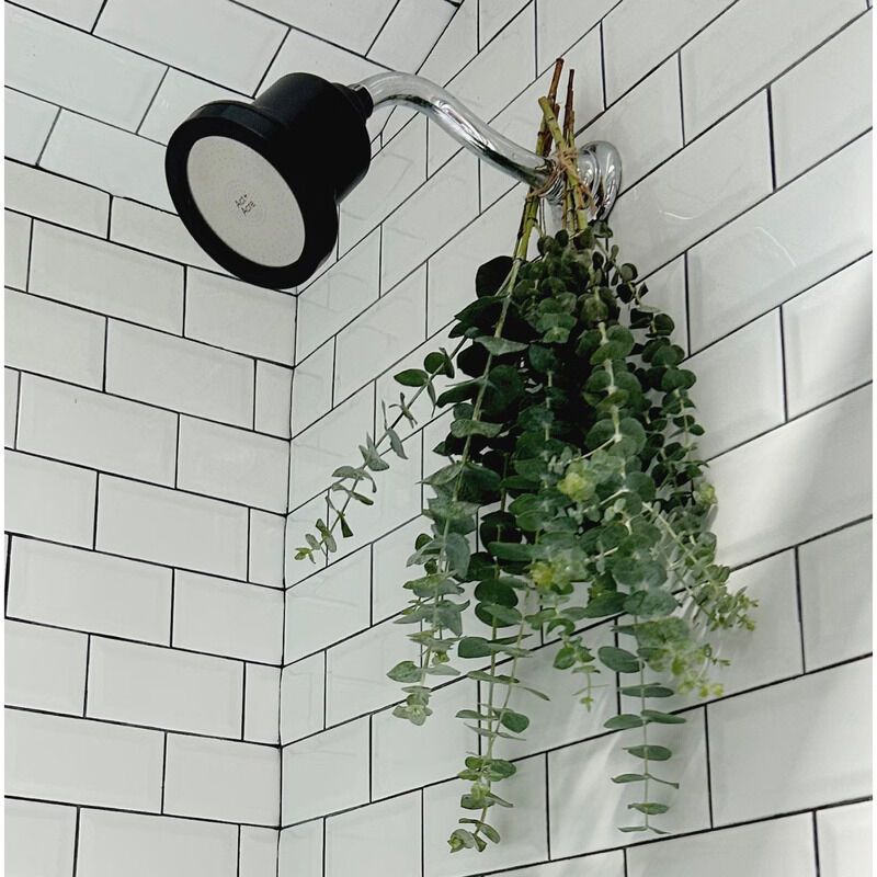 Multi-Filtration Shower Heads