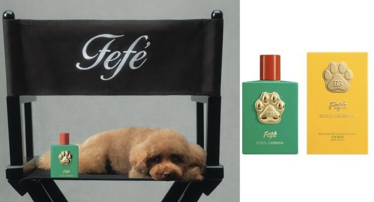 Luxe Canine Fashion Fragrances