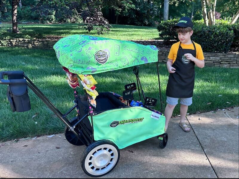 Kid Entrepreneur Carts