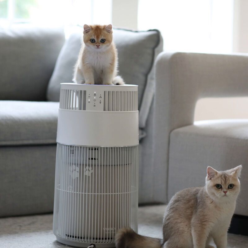 Cat-Friendly Air Purifiers