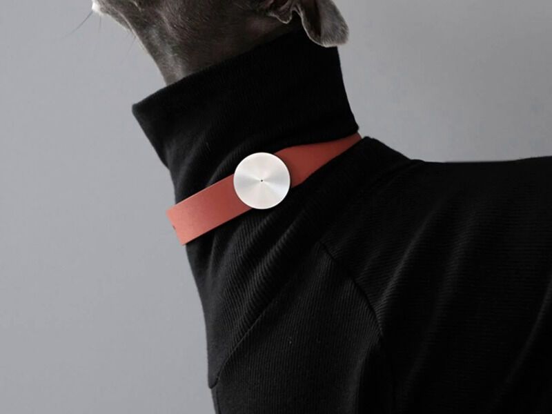 AI Canine Health Collars