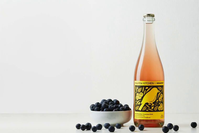 Sustainable Alcohol-Free Blueberry Wines