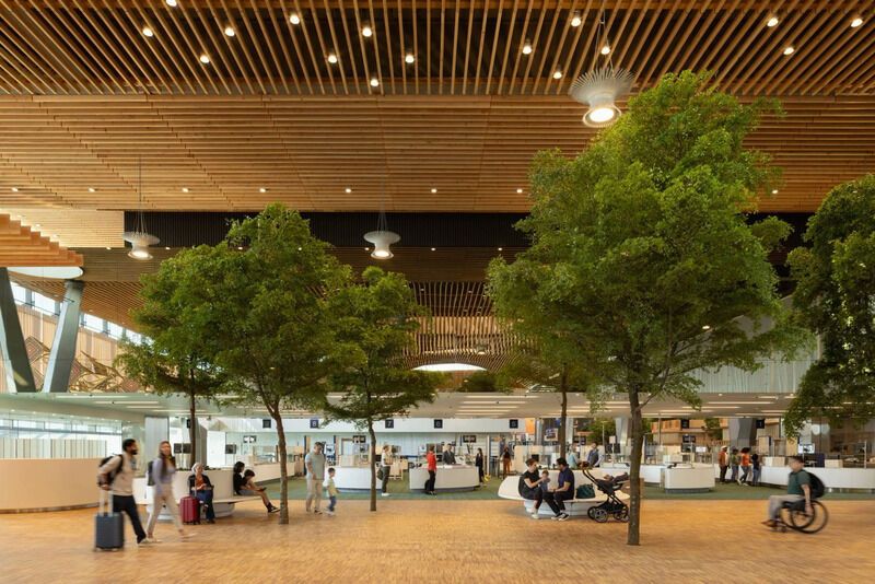 Mass-Timber Airport Rooftops