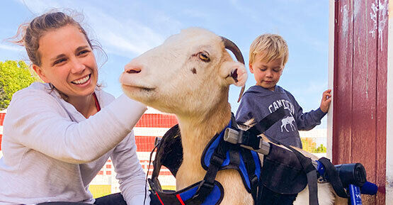 Anxiety-Alleviating Animal Experiences