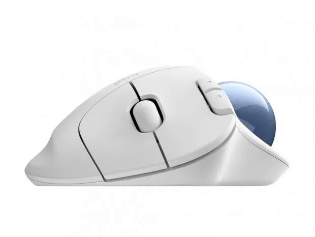 Ergonomic Rolling Ball Mice