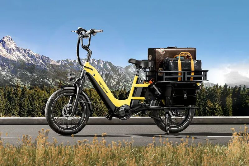 Budget-Friendly Cargo Bikes