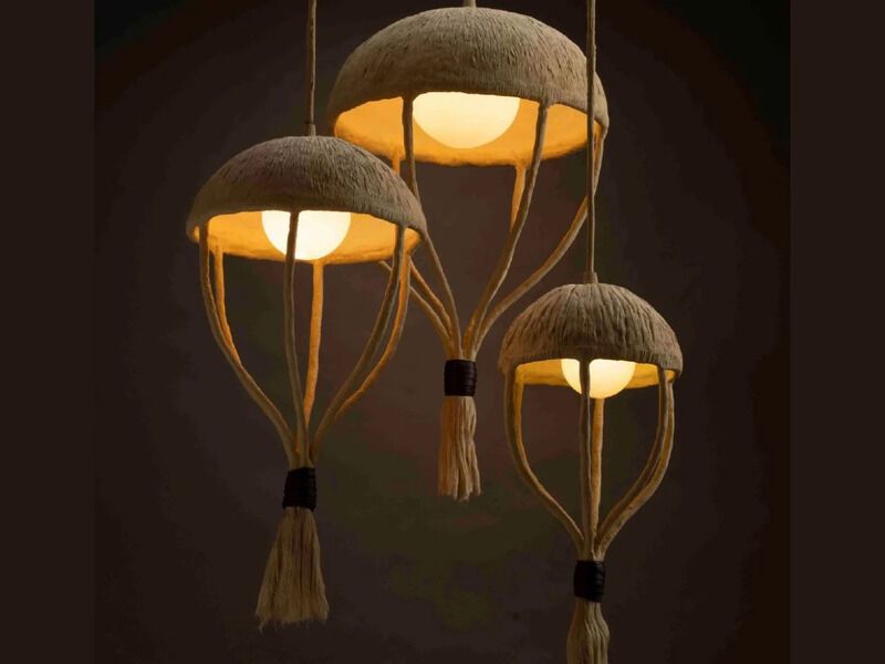 Plant Pod-Inspired Pendant Lights