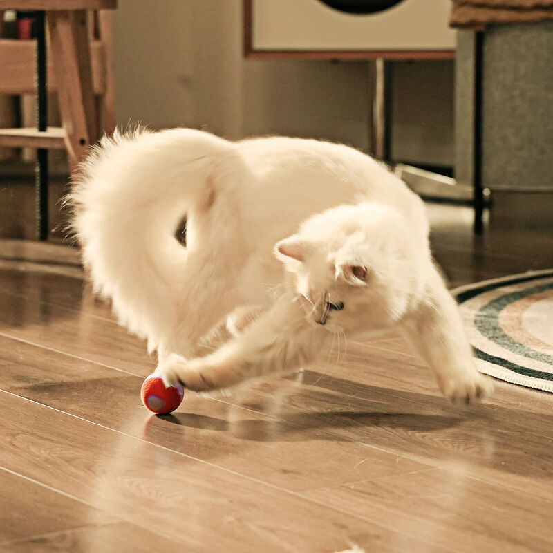 Multi-Mode Smart Cat Toys