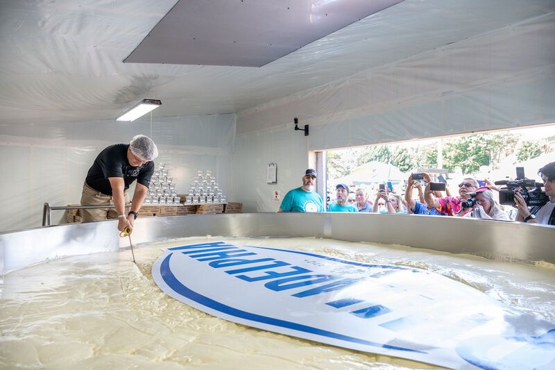 Record-Breaking Cheesecakes