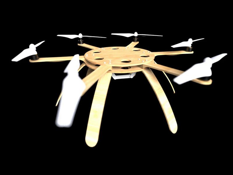 Sustainable Bamboo-Crafted Drones