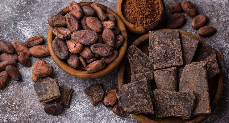 Cocoa Powder Alternatives