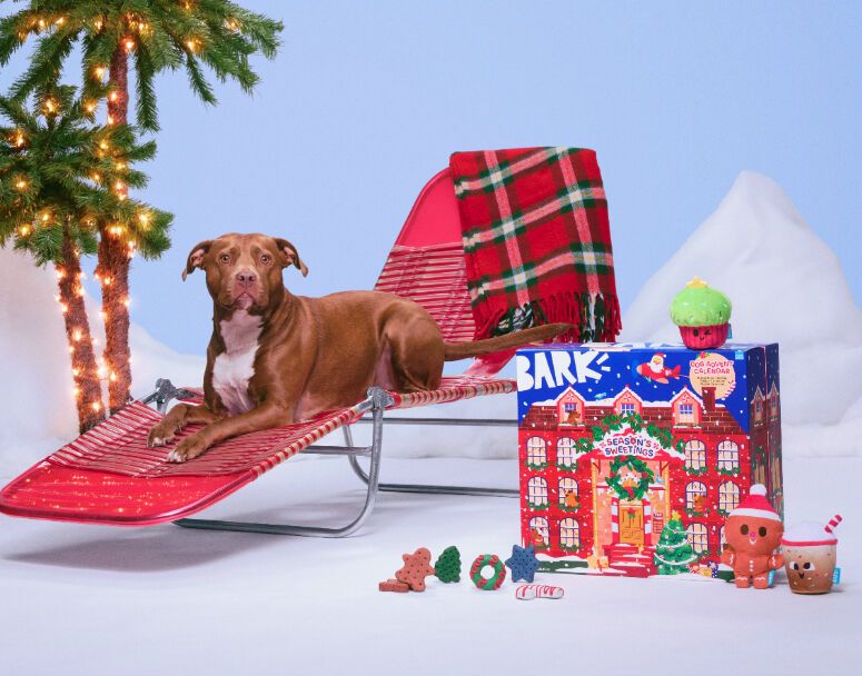 Dog-Friendly Advent Calendars