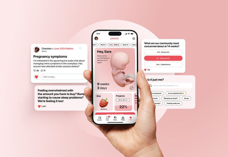 Social-Based Pregnancy Tools